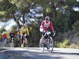 Menorial León Sanchez
